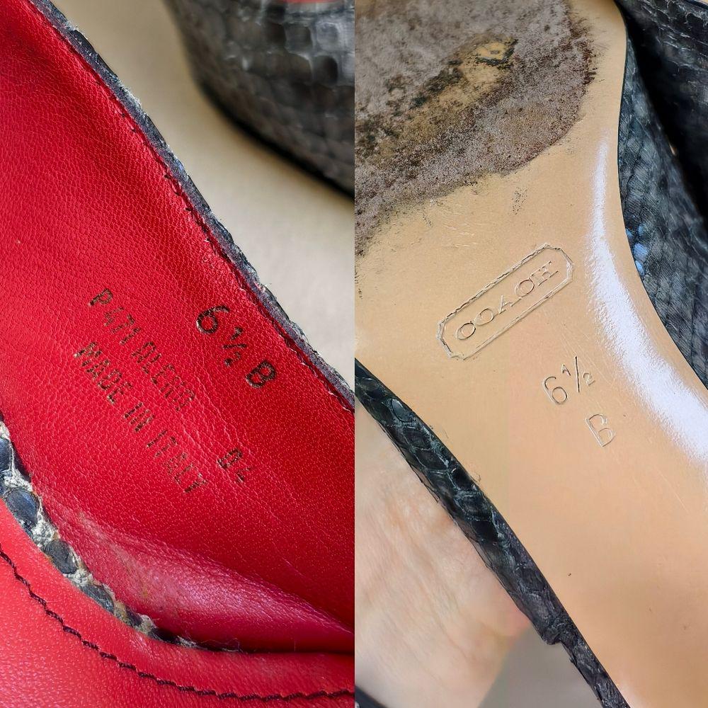 Coach Elegant Gray Snakeskin Pointed Toe Slingback Heels