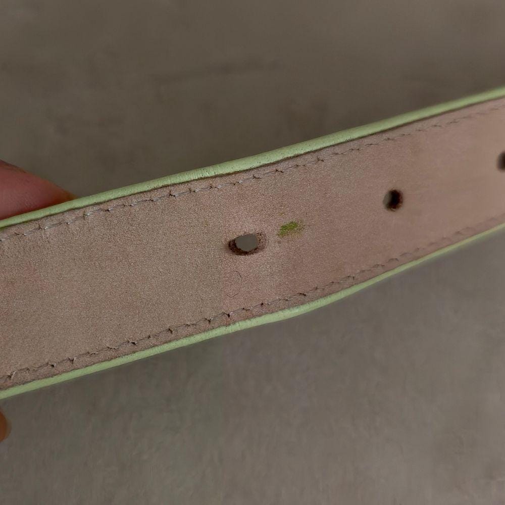 Vintage Carlisle Mint Green Genuine Leather Belt with Ornate Buckle